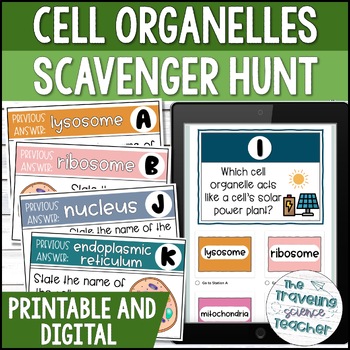 Preview of Cell Organelles Scavenger Hunt Activity | Plant and Animal Cells