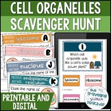 Cell Organelles Scavenger Hunt Activity | Plant and Animal Cells