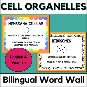 Preview of Cell Organelles Science Vocabulary Words - Science Word Wall | Anchor Charts