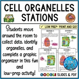 Cell Organelles Stations - Cells Lab Stations