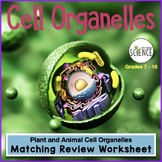 Cell Organelles Structure and Function Matching Worksheet