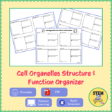 Cell Organelles Structure and Function Organizer