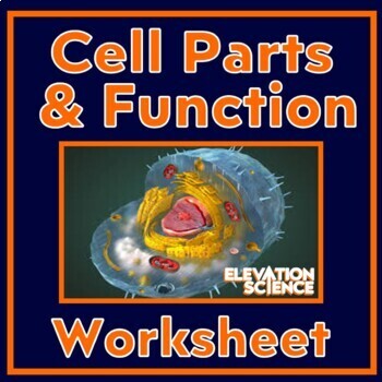 Preview of Cell Organelles Structure and Function Worksheet Graphic Organizer