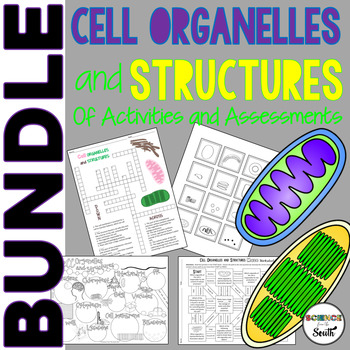 Preview of Cell Organelles and Structures Unit Bundle of Activities and Assessments