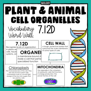 Preview of Plant and Animal Cell Organelles- Vocabulary Word Wall- Science TEKS 7.12D