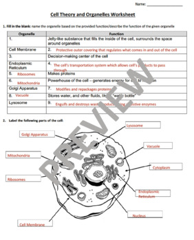 Cell Organelles Worksheet by Nadia Helmy | TPT