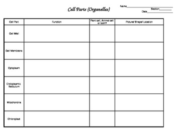Preview of Cell Organelles Worksheet/Chart