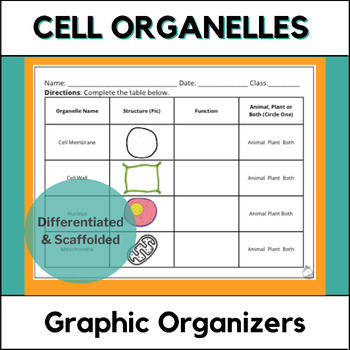 Preview of Cell Organelles Worksheets - Graphic Organizers - Differentiated & Scaffolded