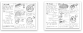 Cell Organelles and Biomolecules coloring sheet