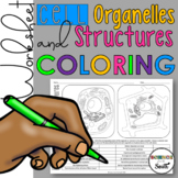 Plant and Animal Cells Organelles and Structures Coloring Worksheet