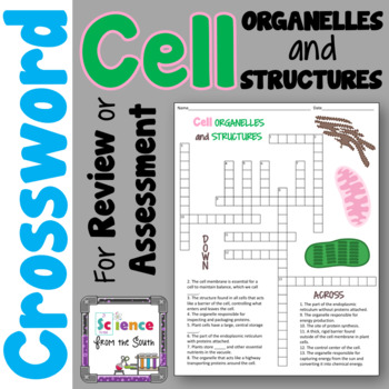 Preview of Cell Organelles and Structures Crossword Puzzle FREEBIE