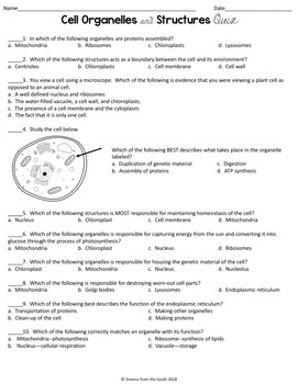 cell structure and function quiz