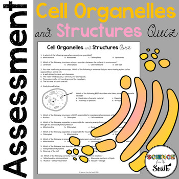 Preview of Cell Organelles and Structures Quiz for Assessment of Student Understanding
