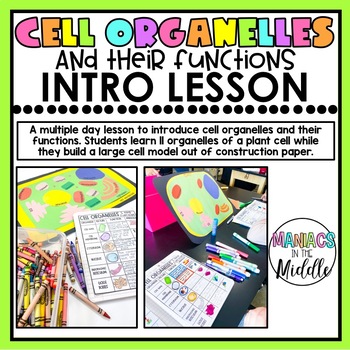 Preview of Cell Organelles and Their Functions Lesson