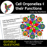 Cell Organelles and their Functions | Science Color By Number