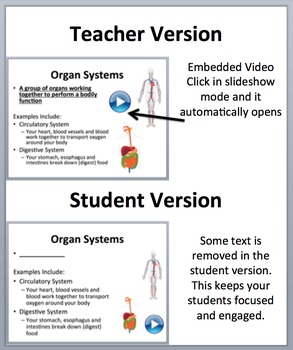 Cell Organization Cells Tissues Organs And Systems Powerpoint Lesson - 
