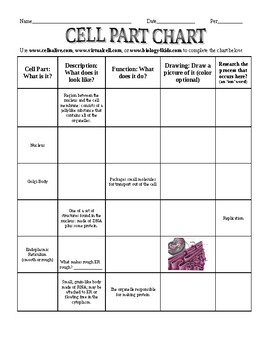 Cell Part Chart Worksheet by Ian Keith | Teachers Pay Teachers