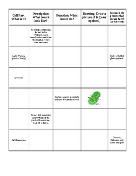 Cell Part Chart Worksheet by Ian Keith | Teachers Pay Teachers