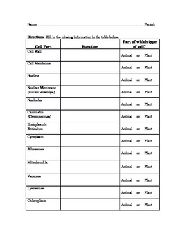 Cell Parts and Functions Worksheet by Bryan F | TPT