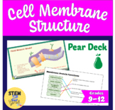 Cell/Plasma Membrane Structure Interactive Pear Deck Lesson