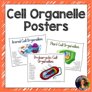 Preview of Cell Organelle Posters
