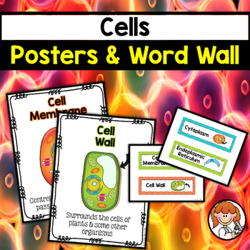 Preview of Cell Posters & Word Wall