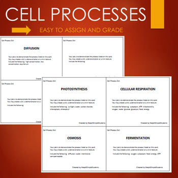Preview of Cell Processes Activity