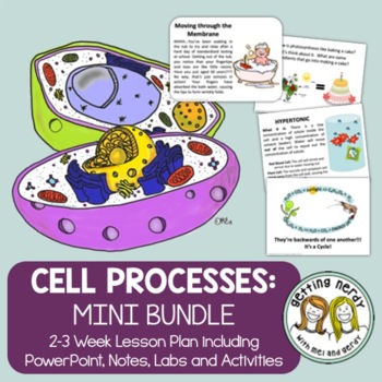 Preview of Cell Processes - PowerPoint & Notes, Labs, Activities, & Projects