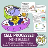 Cell Processes - PowerPoint & Notes, Labs, Activities, & Projects
