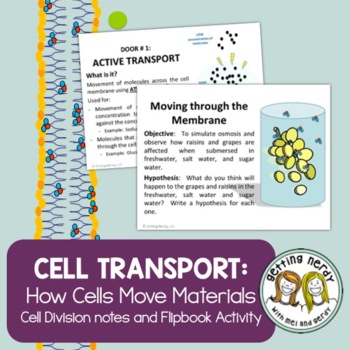 Preview of Osmosis & Diffusion - PowerPoint & Handouts