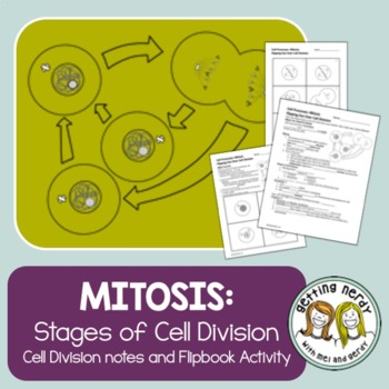 Preview of Mitosis - PowerPoint and Handouts