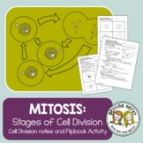Mitosis - PowerPoint and Handouts