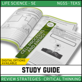 Cell Processes & Energy Study Guide - Google Classroom