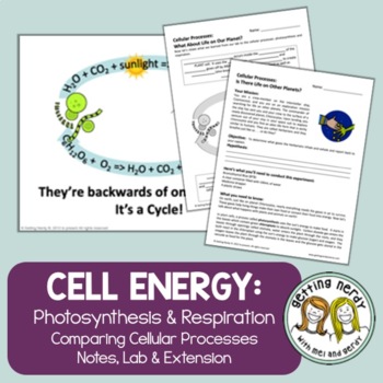 Preview of Photosynthesis & Respiration - PowerPoint, Notes, Lab, and Extension