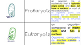 Cell Pt 2 Vocabulary Matching Activity (English/Spanish)