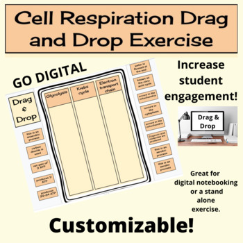 Preview of Cell Respiration Drag and Drop Interactive Digital Activity