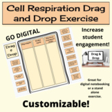 Cell Respiration Drag and Drop Interactive Digital Activity