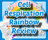 Cell Respiration Rainbow Review Google doc Worksheet 