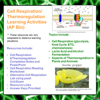 Preview of Cell Respiration/Thermoregulation Learning Activities for AP Bio (Dist Learning)
