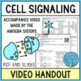 Cell Signaling Amoeba Sisters Video Handout