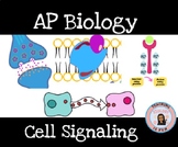 Cell Signaling Pathways Signal Transduction AP Biology