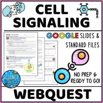 Preview of Cell Signaling Webquest - Editable MS Word, PDF, and Google Slides