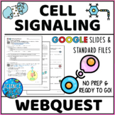 Cell Signaling Webquest - Editable MS Word, PDF, and Googl