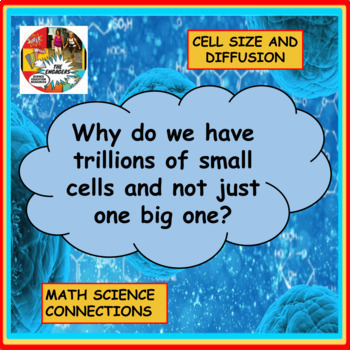 Preview of Cell Size- Investigating why we have trillions of cells and not one big cell?