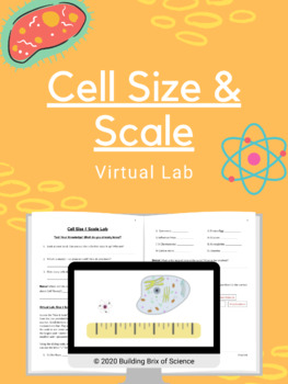 Preview of Cell Size and Scale Virtual Lab