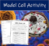 Model Cell Activity (Build an Edible Model Cell From Candy)