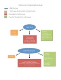 Cell Structure Concept Map Study Guide