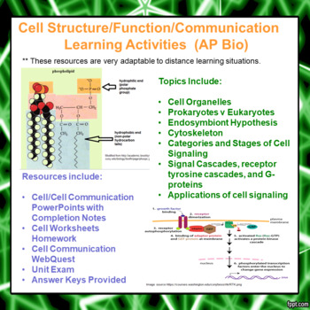 Preview of Cell Structure/Function/Communication Activities for AP Bio (Distance Learning)