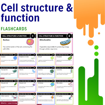 Preview of Cell Structure & Function Flashcards: Essential Biology Study Tool!