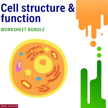 Preview of Cell Structure & Function Worksheet Bundle: Engage, Learn, and Assess!